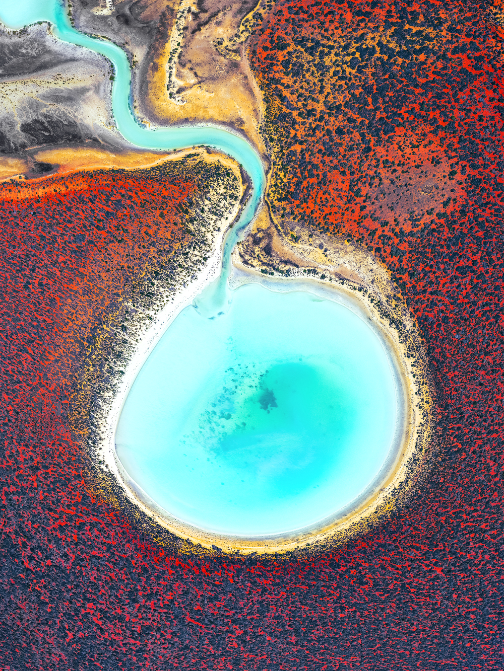 Remote islands captured in aerial photography New Zealand