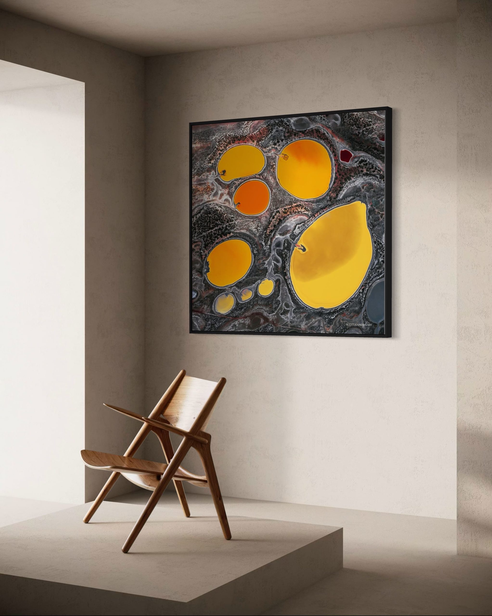 Lemons - Image 5