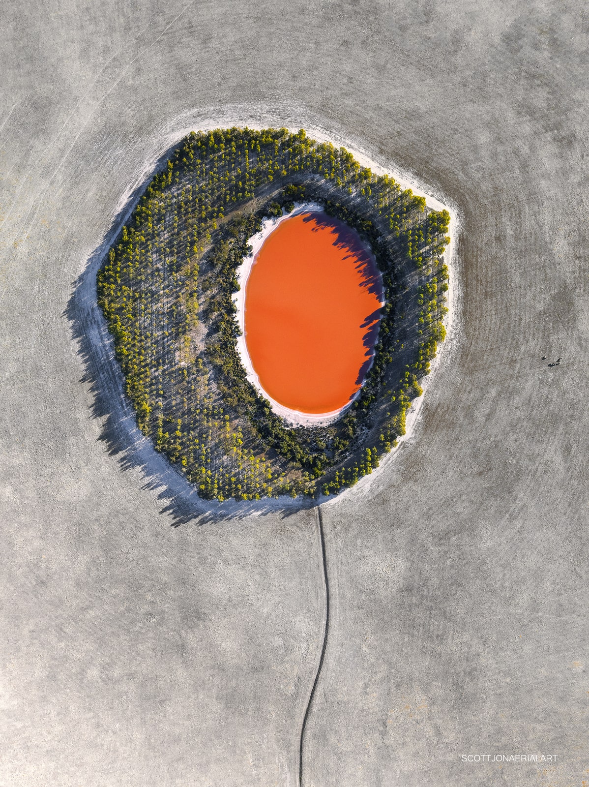 Balloon - Image 5