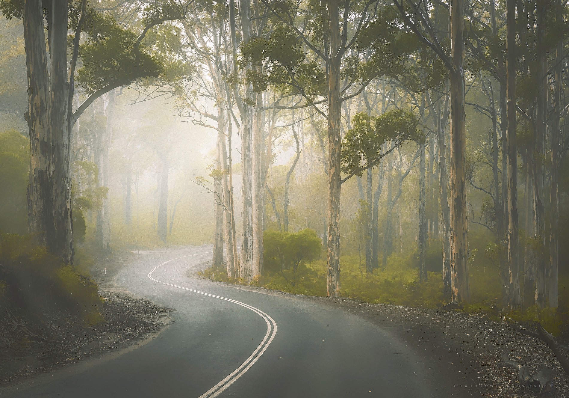 Caves Road - Image 2