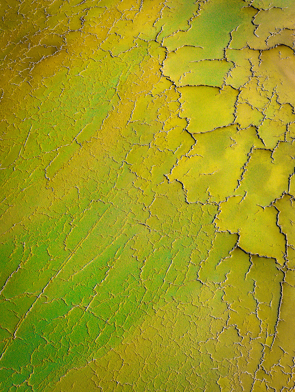 Pressure - Image 5