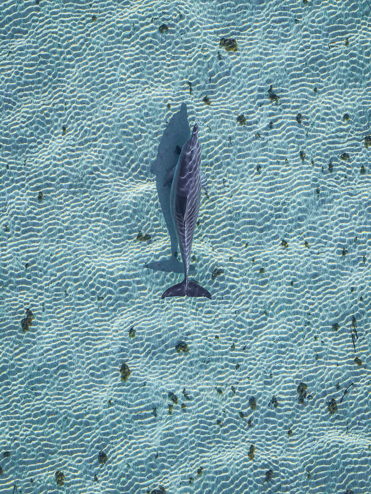 Refraction - Image 2