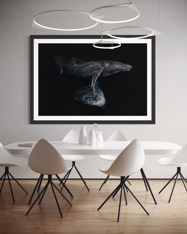Portrait of a Whale