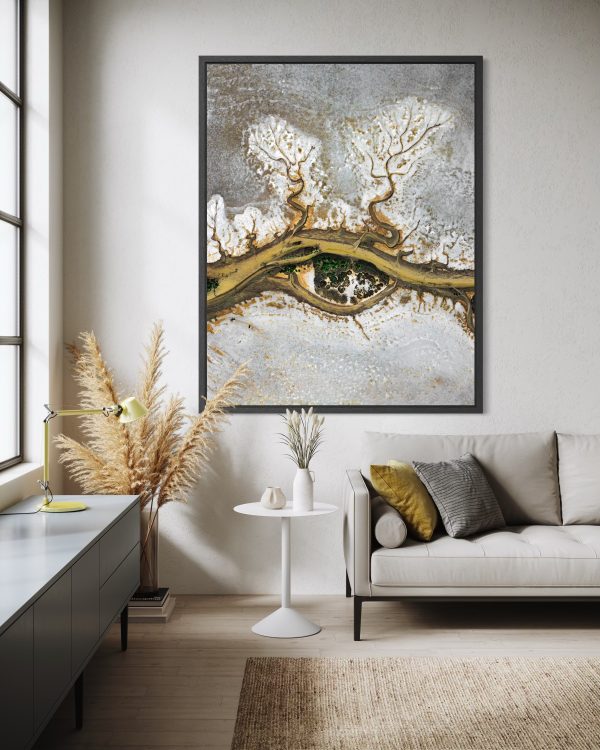 My Vision